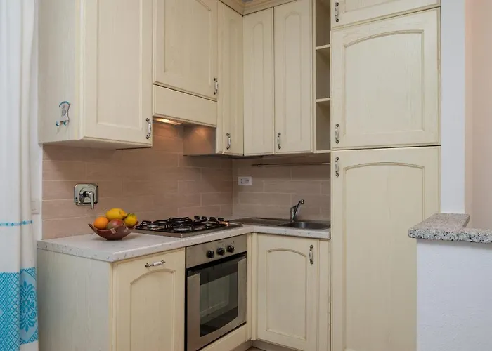 Myrsine 9d - Klodge * 奧爾比亞