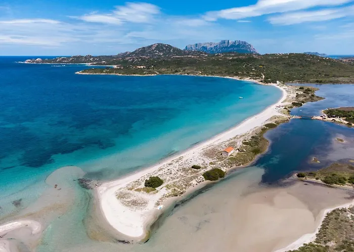 Myrsine 9d - Klodge 公寓